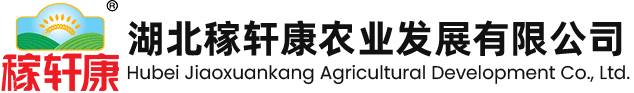 金丝饼
