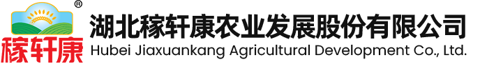 金丝饼